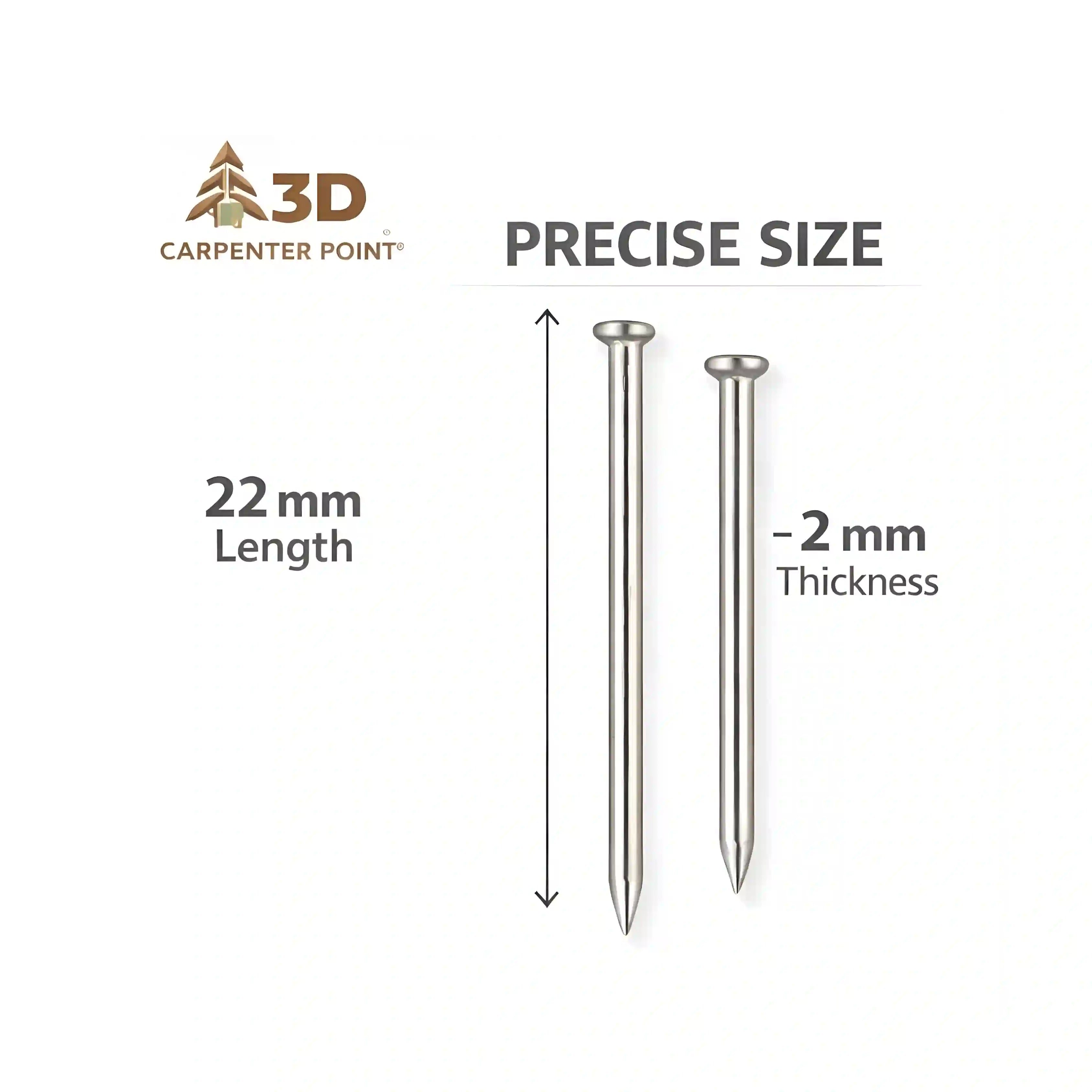 3D Carpenter Point Stainless Steel Nails 230g | 16mm, 18mm & 22mm Sizes | Wood & Wall Fixing Nails for DIY, Household & General Use